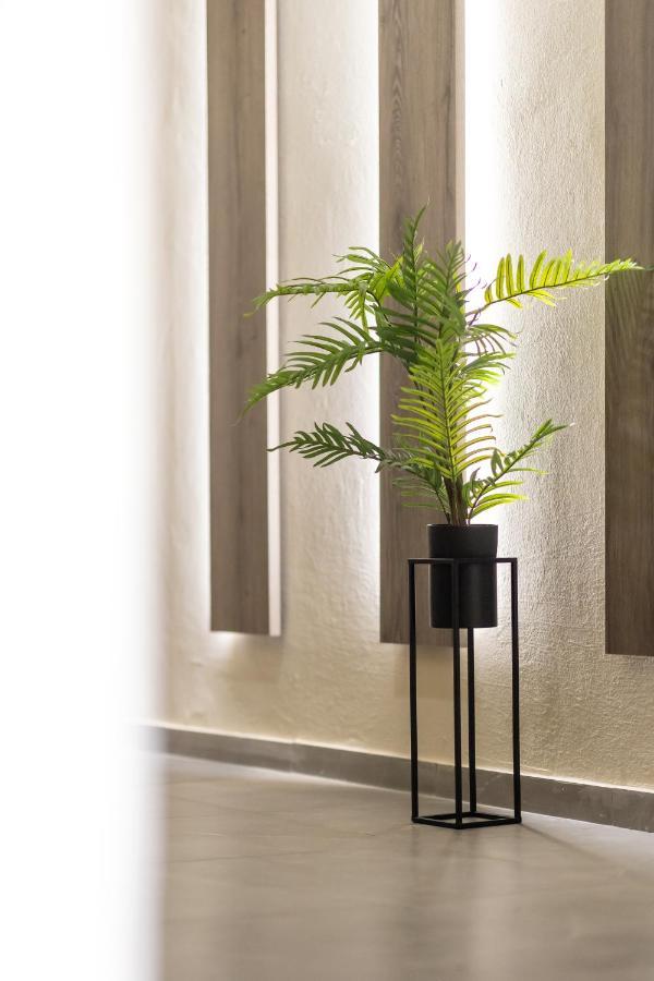 Noho Boutique , Premium Living Dikeou 8 Lägenhet Aten Exteriör bild